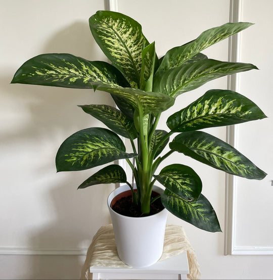 80CM AND Ø21CM / WHITE CERAMIC POT
